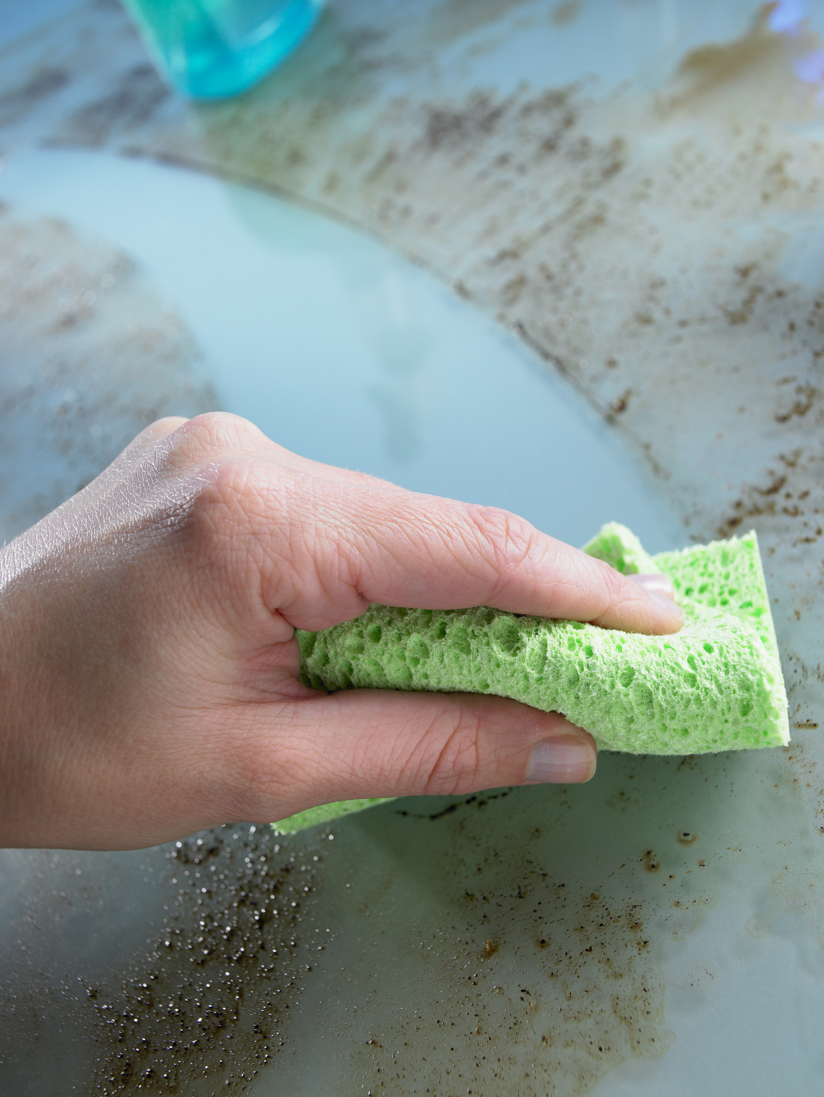 Your Kitchen Sponge Is Full Of Bacteria Here S How To Clean It   5772c4691500002b006c8a14 