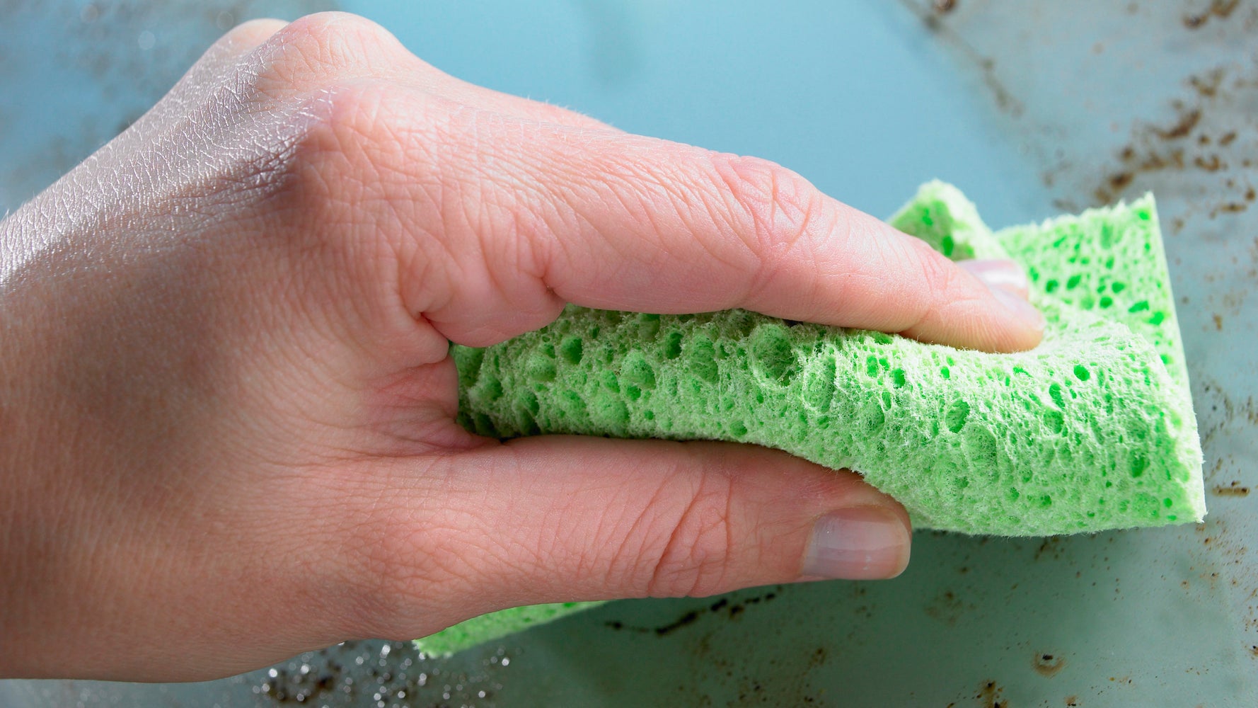 Your Kitchen Sponge Is Full Of Bacteria. Here's How To Clean It