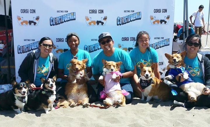 Hundreds of corgis attended this summer's event which raised money for two non-profits. The event's "ExecuCorg" team, which put the event together, is pictured.
