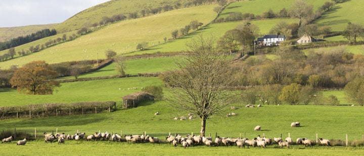 A group of 20 schoolchildren are missing in the Brecon Beacons in south Wales, according to the Central Beacons Mountain Rescue Team