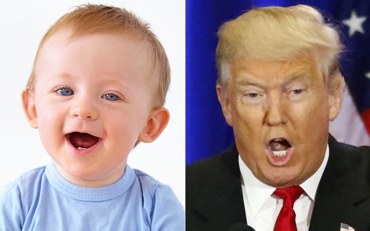 Would you rather see a cute baby in your news feed -- or an adult baby?