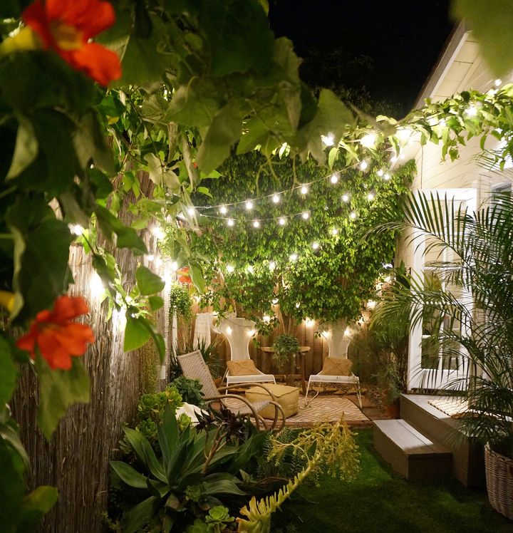 The couple's backyard illuminated by string lights on the night of the wedding. 