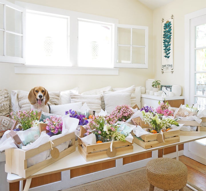 Sophee the beagle pictured with gift boxes for the bride's besties. 