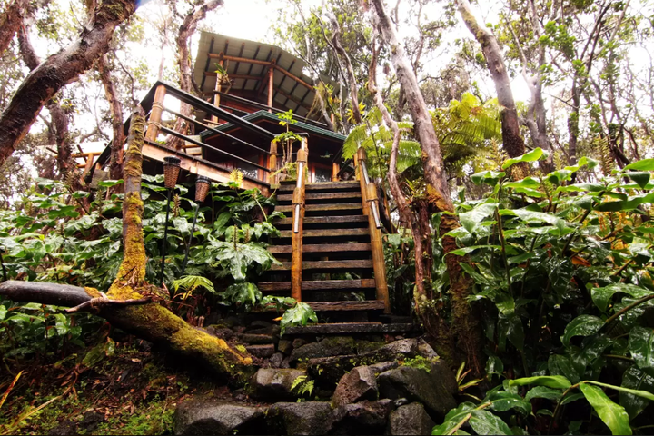 This treehouse runs for around $275 a night.