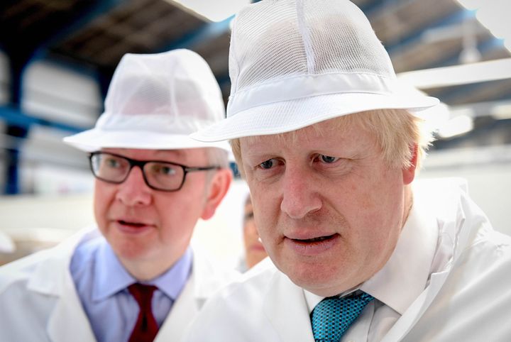Gove's announcement has seen Boris Johnson rule himself out of the race