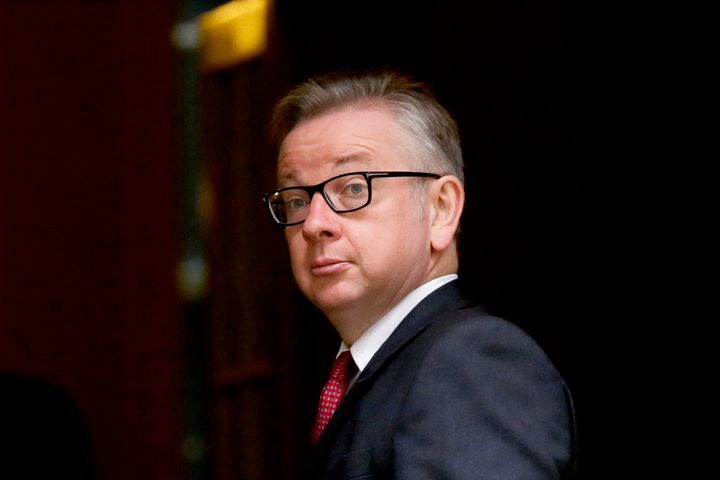 <strong>Michael Gove announced his bid to run on Wednesday </strong>