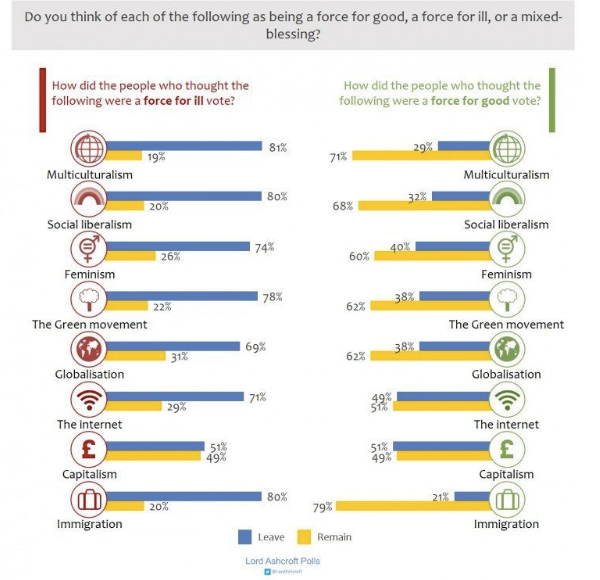 Large majorities who considered multiculturalism, globalization and immigration as forces for good voted to remain in the European Union; while those who felt they were ills voted by greater majorities to leave, according a poll of over 12,000 voters.