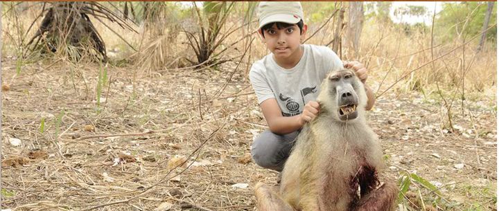 A screenshot of a child holding a dead baboon appeared on Green Mile's former website.