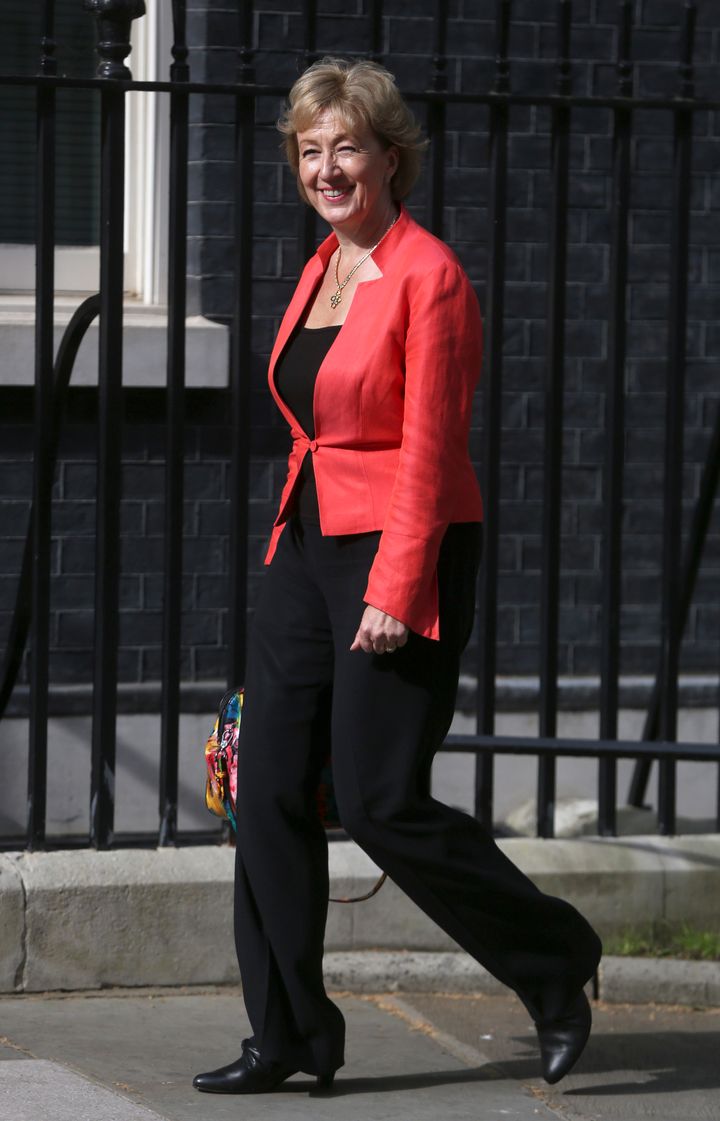 <strong>Energy Minister Andrea Leadsom (pictured) becomes the favourite to take on Tory leadership front-runner Theresa May.</strong>