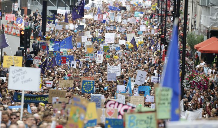 Many protesters chanted, "What do we want to do? Stay in the EU," during Saturday's demonstration in central London, titled the March for Europe. 