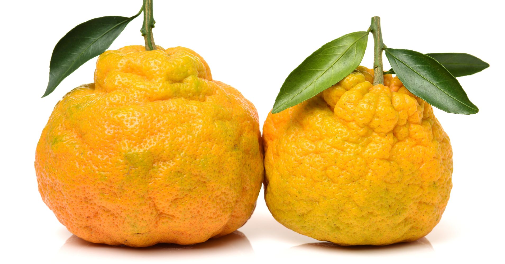 The Psychological Reason Why We Hate Ugly Fruits | HuffPost