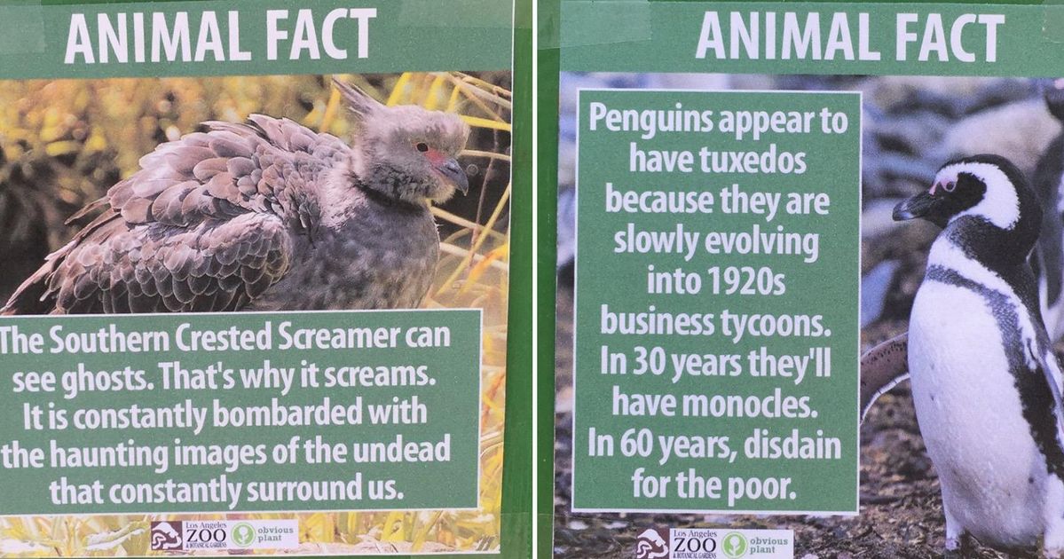 A Prankster Left These Hilarious Signs Around His Local Zoo