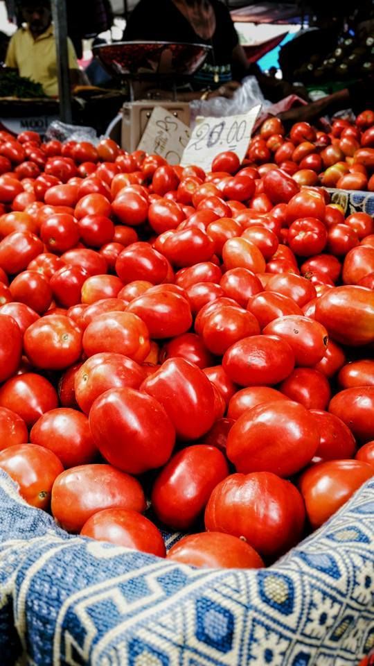 Fresh Tomatoes at Market Day in Mauritius