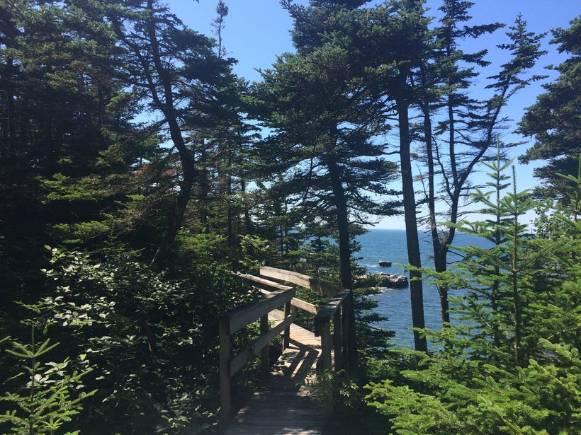 Hiking along the Bay of Fundy. 