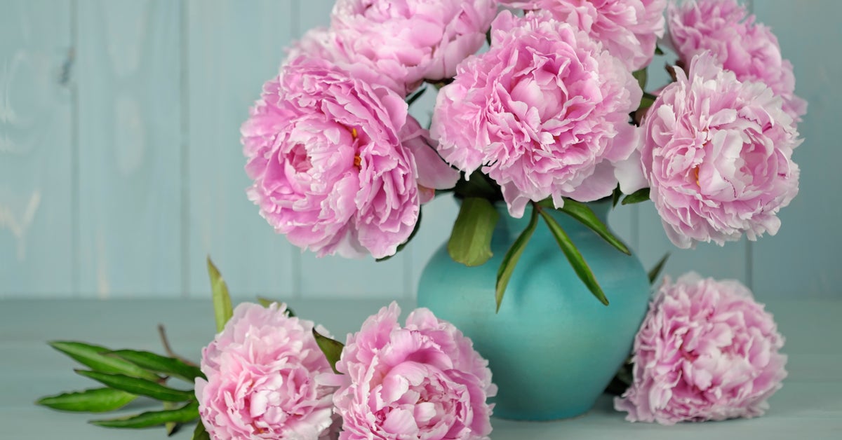 This Simple Trick Could Make Fresh Flowers Last Forever HuffPost Life