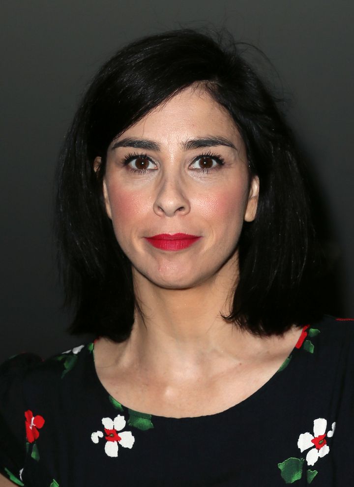 "I am insanely lucky to be alive," Sarah Silverman wrote.