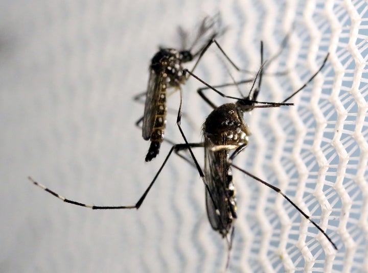The U.S. Olympic team will be part of a study on Zika virus exposure conducted by the U.S. National Institutes of Health.