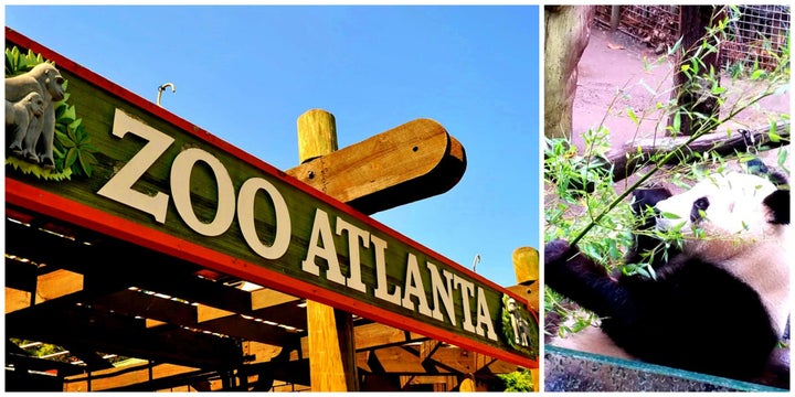 Zoo Atlanta