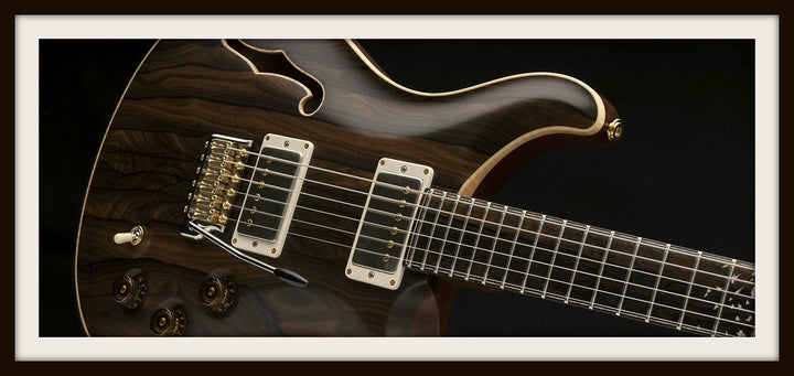 Private Stock DGT Birds of a Feather Semi-Hollow