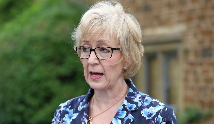 <strong>Leadsom had said she was 'disgusted' by claims she had said being a mother gave her an edge over Theresa May in the race to be PM</strong>