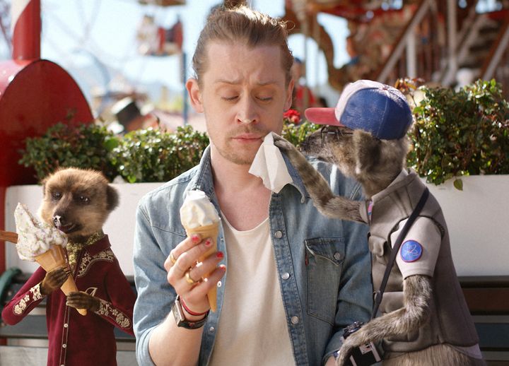 Macaulay Culkin has been persuaded back to the centre stage, by the Meerkats