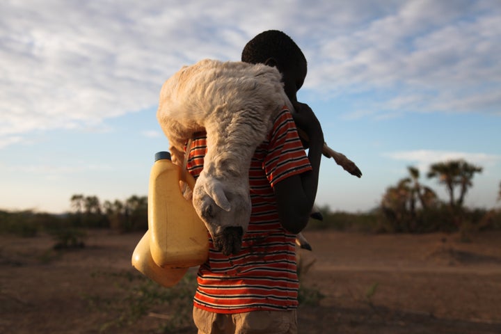 KALOKOL, KENYA - NOVEMBER 30, 2015: Ekai Lopeyak walks home carrying the body of one of his family's goats, which he found dead outside the town of Kalokol on the western shore of Lake Turkana on November 30, 2015. Traditional pastoralists have turned to fishing in ever greater numbers in recent years as drought has decimated their herds of livestock. (Photo by Emily H. Johnson For The Washington Post via Getty Images)