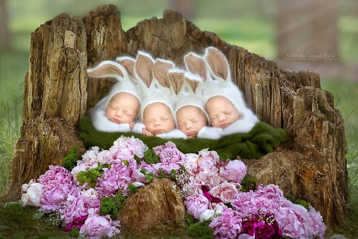 The Webb quadruplets managed to steal the show even while sleeping through their photo shoot. 