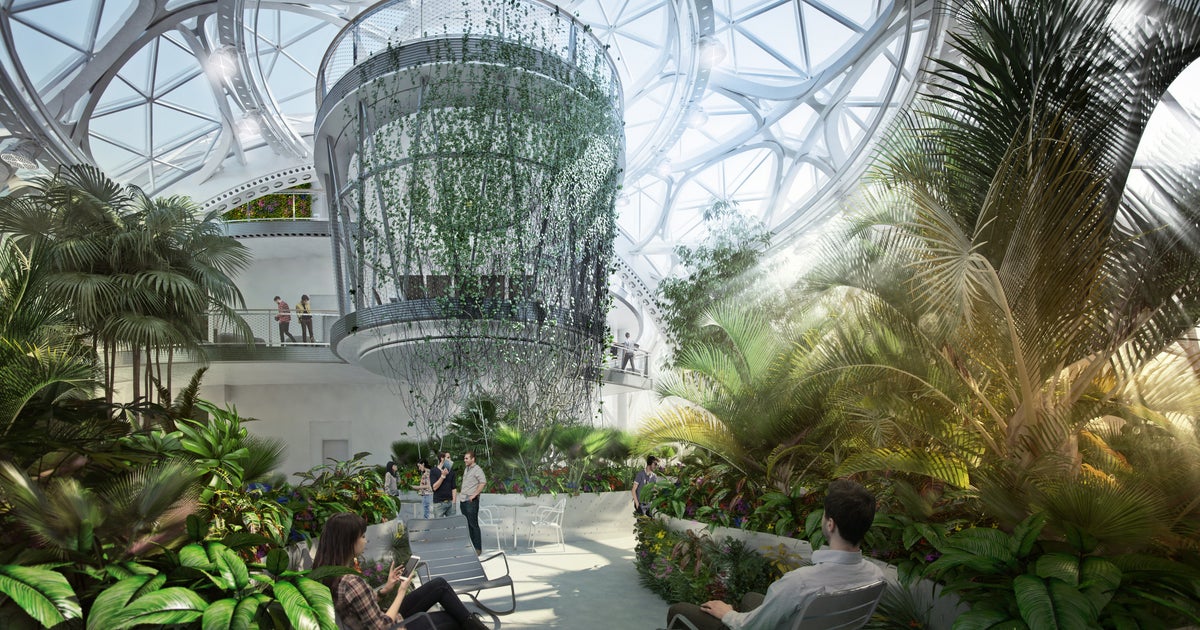 Прибор в оранжерее 9. Градусник для теплицы. Оранжерея батайск. Ботанический скд петра великого. В.