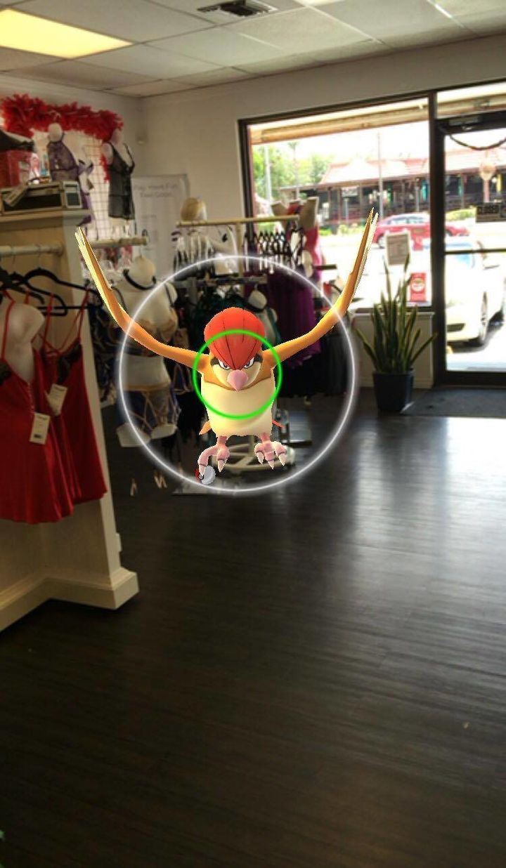 This Pidgeotto is one of the Pokemon characters found in an Orlando intimacy boutique.