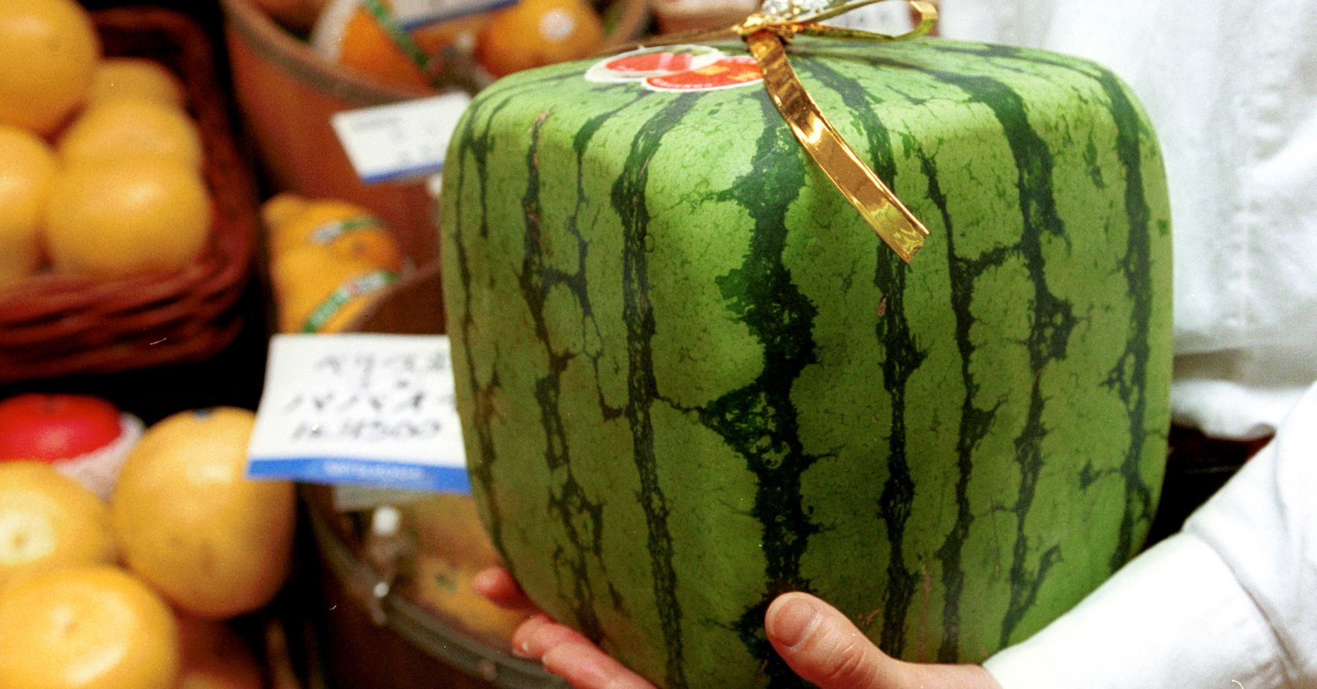 square-watermelons-exist-as-if-life-wasn-t-weird-enough-already-huffpost