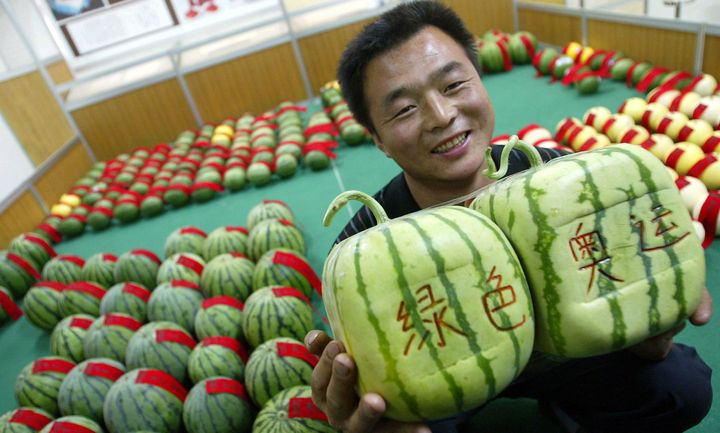 Square Watermelons Exist, As If Life Wasn't Weird Enough Already | HuffPost