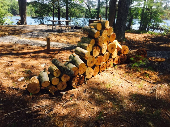 picnic site at Lake James State Park