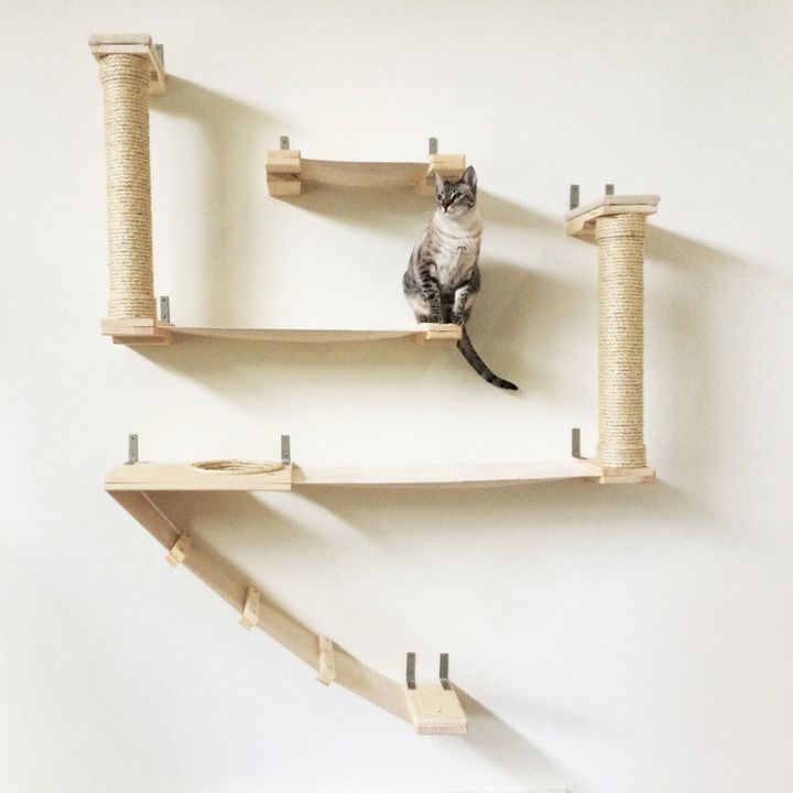 This Couple Builds Cat Furniture That's Nicer Than Everything You Own ...