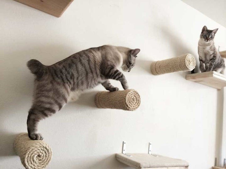 <a href="http://www.catastrophicreations.com/product/sisal-post-steps/" target="_blank">Floating Sisal Post Steps, $35.00</a>