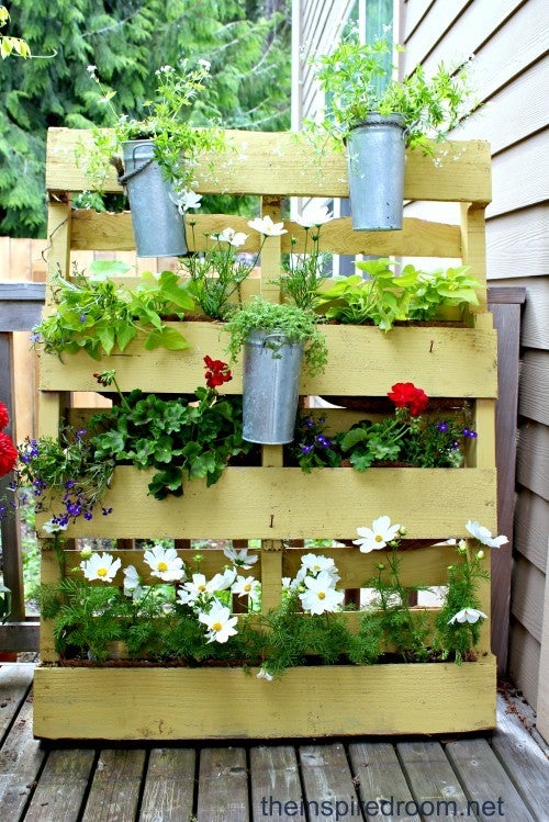 A pallet is turned into a vertical garden.