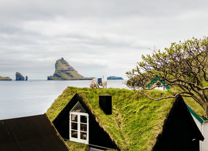 A sheep is seen perched on top of a house overlooking one of the islands' breathtaking views.