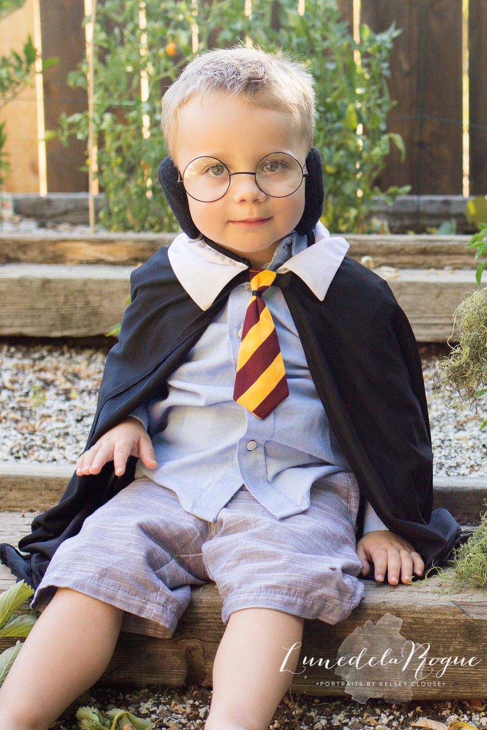 Harry Potter Mandrake Baby Costume  Harry potter mandrake, Harry potter  baby, Cute baby costumes