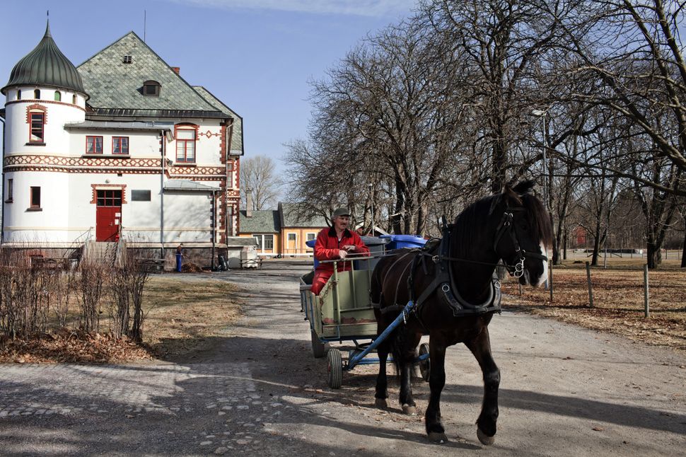 An inmate rides a horse wagon in Bastoy Prison on April 11, 2011.