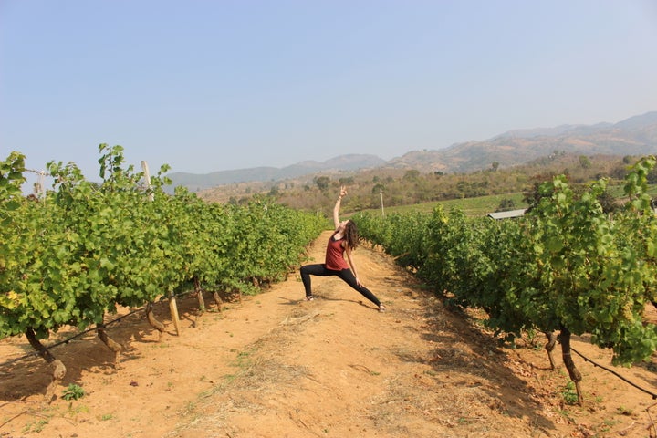 Being a warrior in the vineyards, because I can.