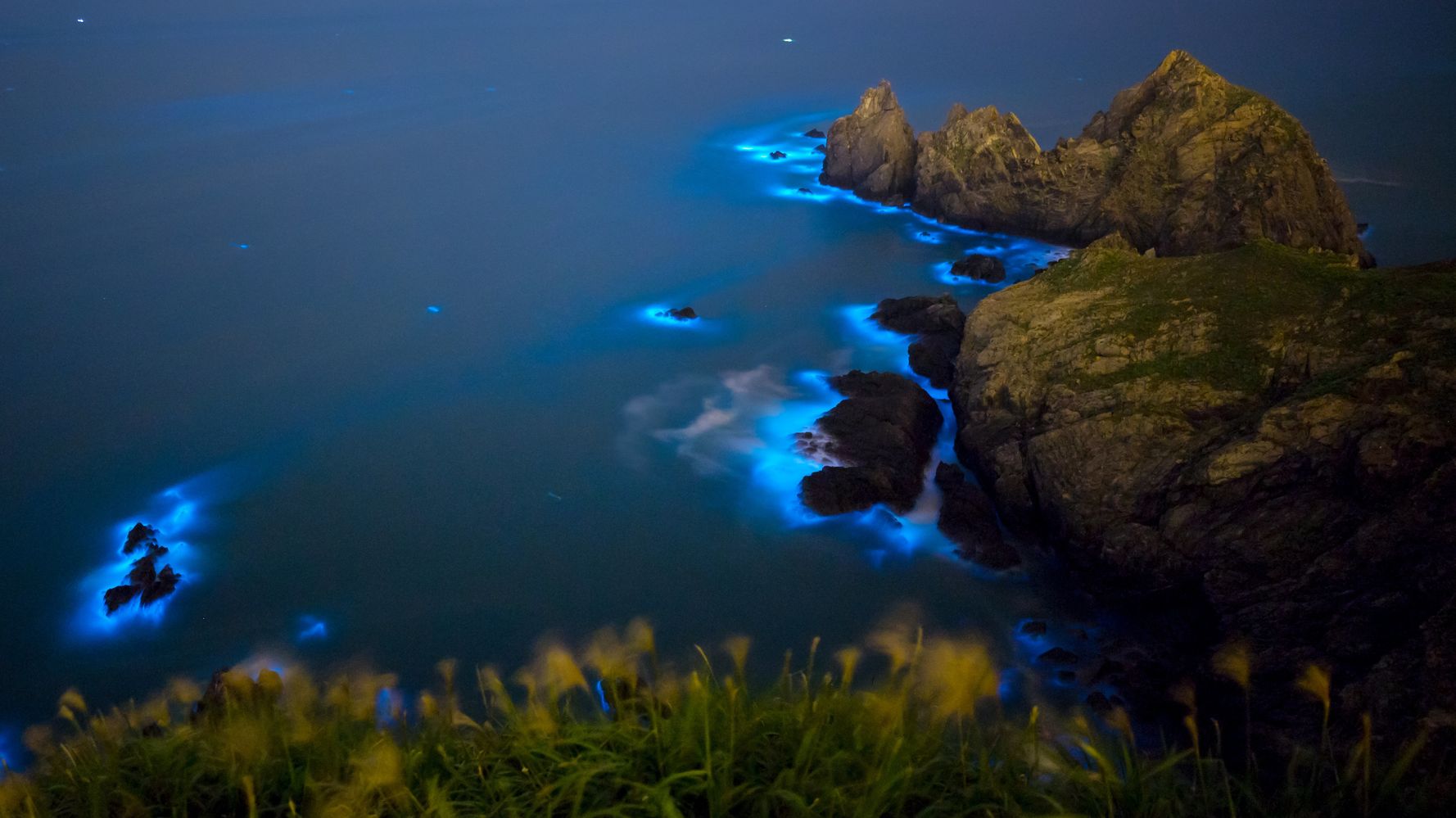 Bioluminescent algae photo not harmful: professor - Taipei Times