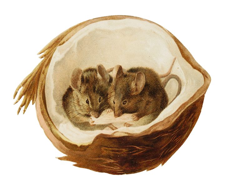 A "Mice in a Coconut" [Hildesheimer and Faulkner, c.1891] card, featuring some of Beatrix Potter's earliest printed work, sold for £1,125 ($1,500) at Sotheby's this week.<br>