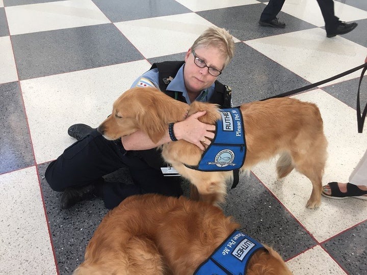 Comfort dogs providing cuddles. 