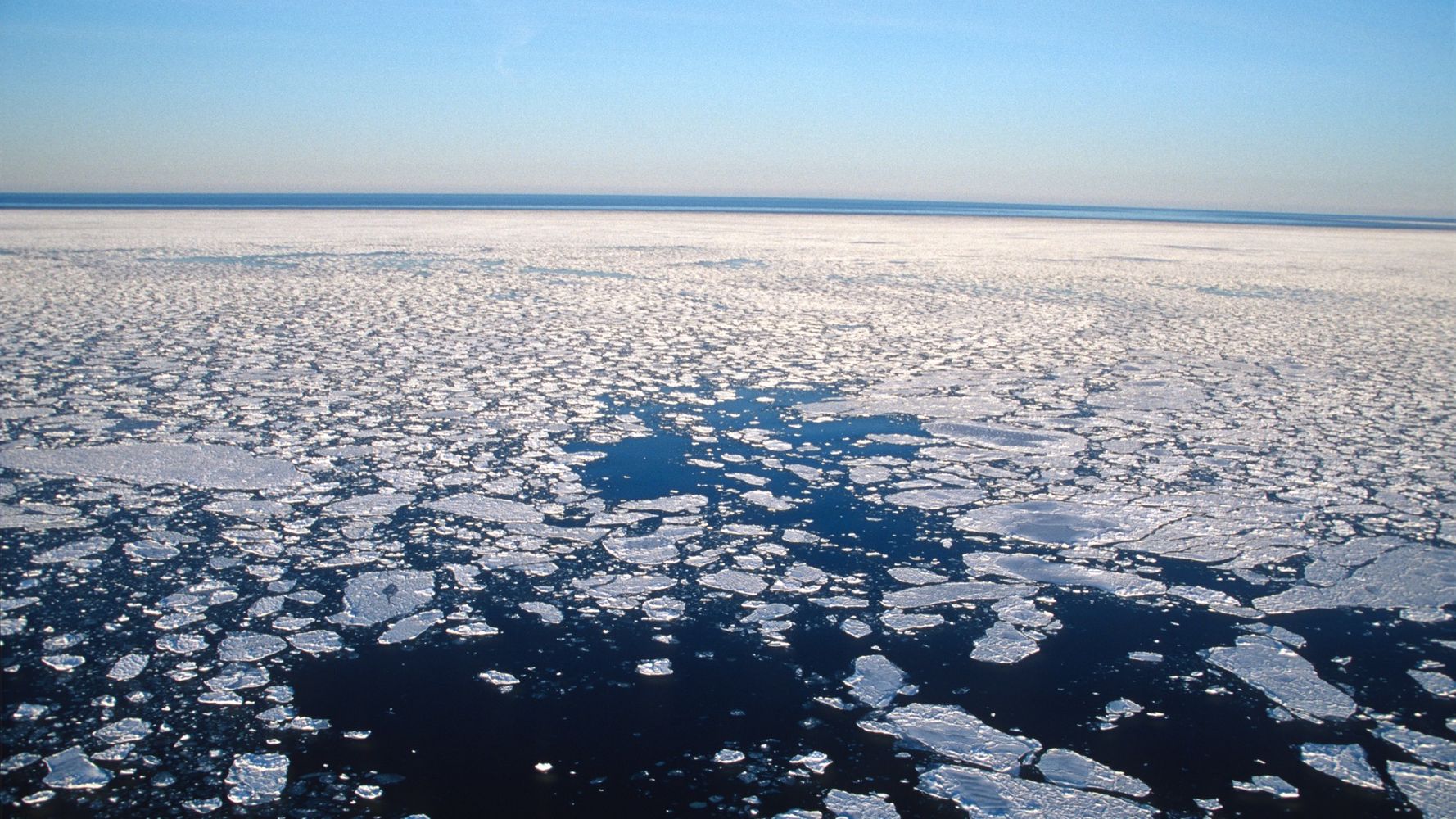 Arctic Sea Ice Is Going, Going -- But We Can Save It | HuffPost Impact