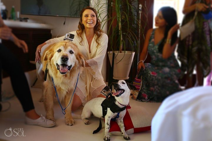 The bride, who lives in London, was overjoyed when her wedding “video-dog-ruffers” came prancing in. 