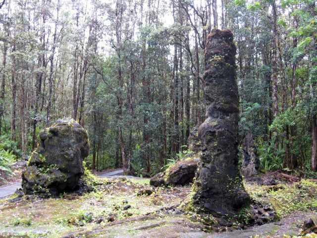 These lava tree molds show what can happen years after lava swallows a living tree.