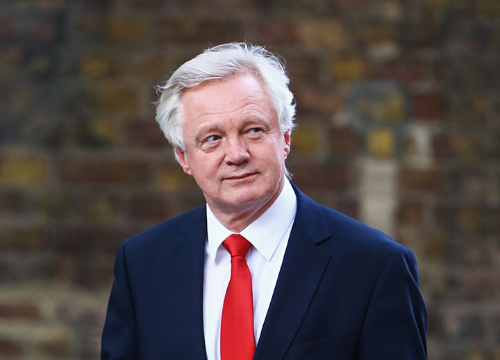 <strong>David Davis was appointed to head up the new Brexit Secretary</strong>
