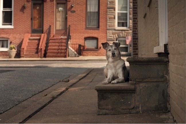 Cecelia, 12 years old, Baltimore, Maryland.