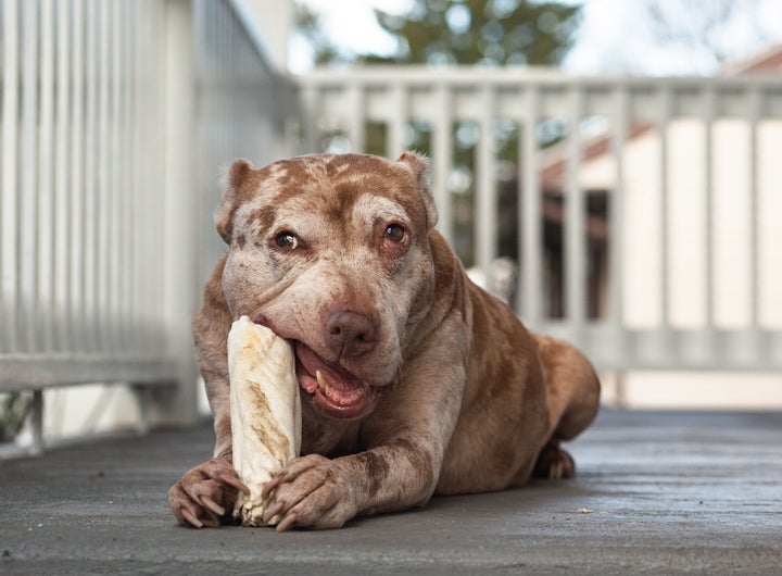 Red, 12 years old, New Haven, Connecticut. 