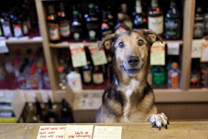 Murphy, 10 years old, Milford, Connecticut.