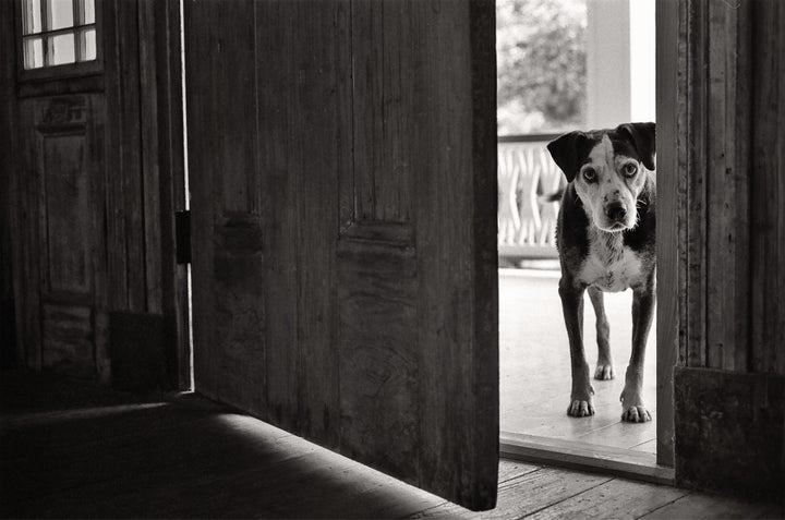 Wally, 14 years old, Ferrida, Louisiana.